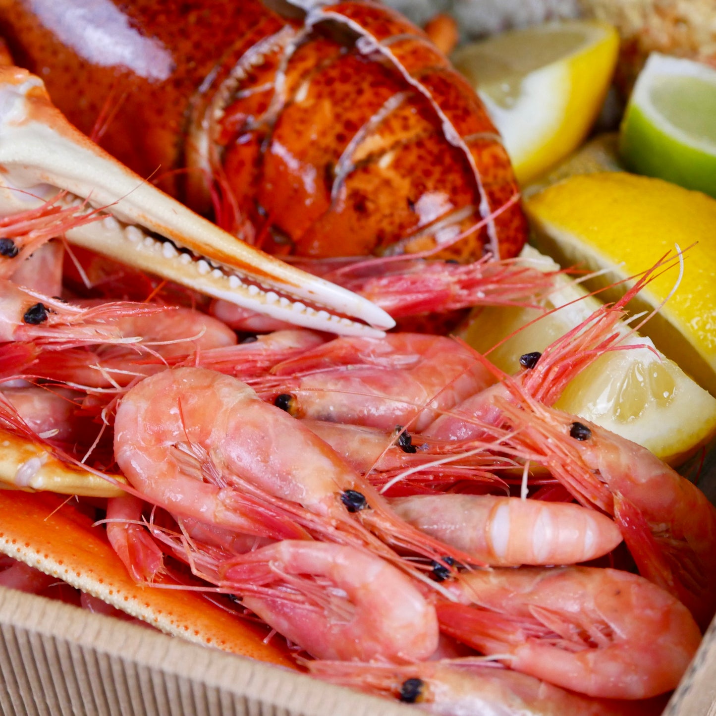 Fersk skalldyrkasse rett fra Oslo Fiskehall